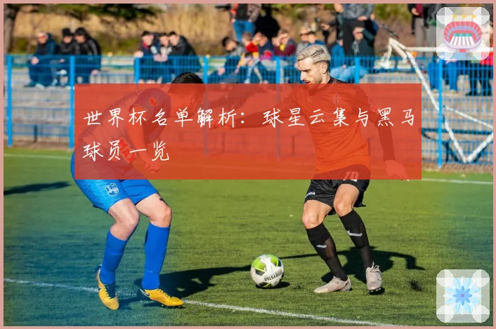 世界杯名单解析：球星云集与黑马球员一览