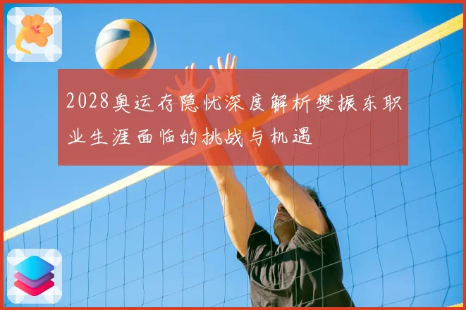 2028奥运存隐忧深度解析樊振东职业生涯面临的挑战与机遇